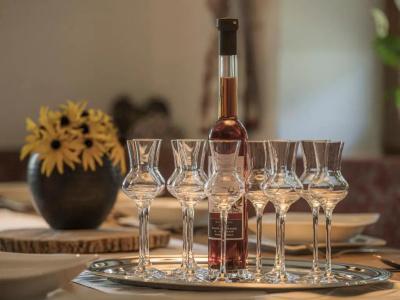 Apart Central – Premium Mountain&Garden - 311