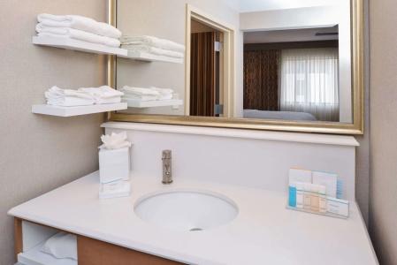 Hampton Inn & Suites Denver-Speer Boulevard - 6