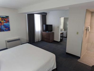 Best Western Plus Toronto Airport - 65