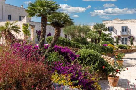 Masseria San Domenico - 33