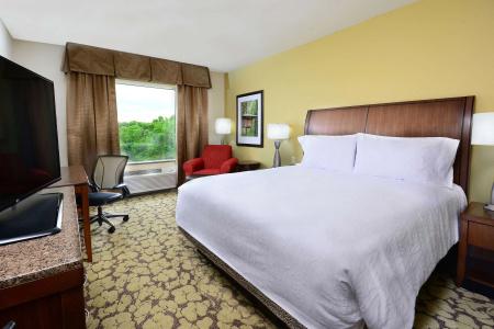 Hilton Garden Inn Airport - 5