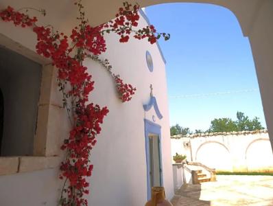 Masseria San Martino - 14