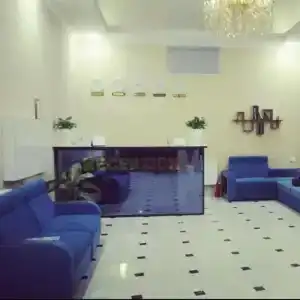 Humo Plaza - 1