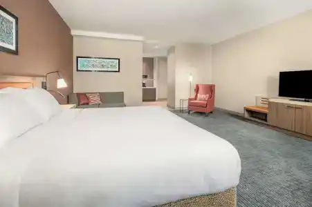 Hilton Garden Inn- Chicago Central Loop - 46