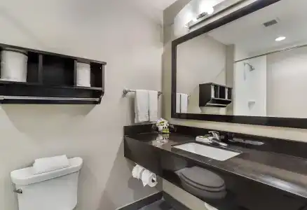 Best Western Plus Inn & Suites - 35