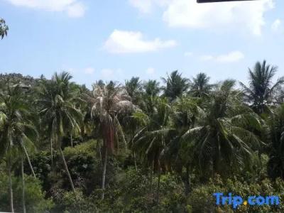 Woodlawn Villas Resort Sha Plus - 73