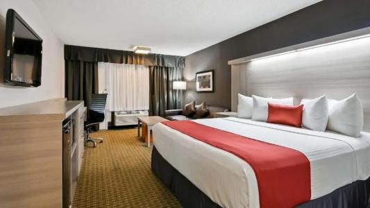 Best Western Plus Village Park Inn - 50