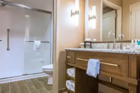 Hampton Inn Houston Downtown - 35