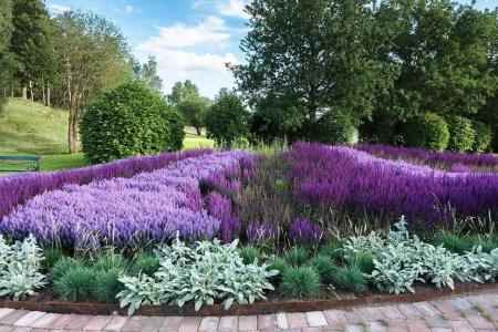 Sankt Jörgen Park - 8