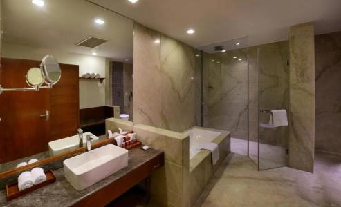Lords Plaza Jaipur - 22