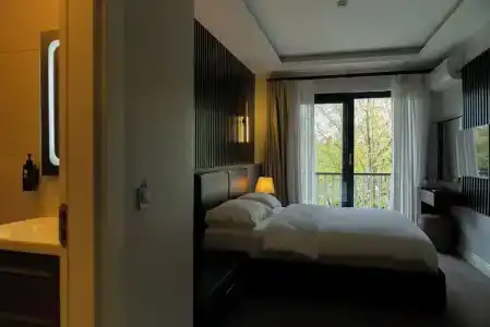 Didi - 41