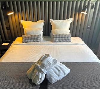 Hôtel Diana Dauphine - 56