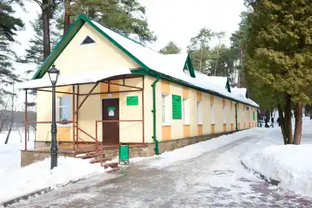 Криница - 10
