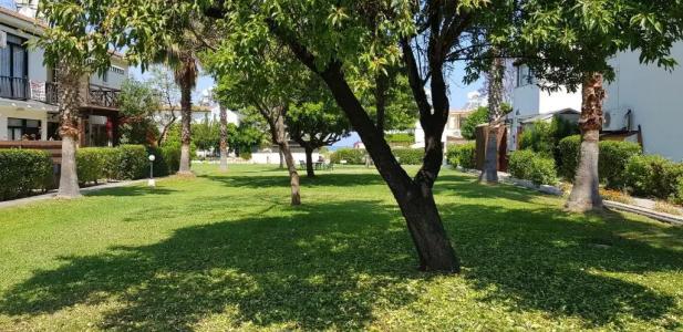 The Summer House - 44