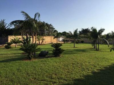 Petruso Resort - 23