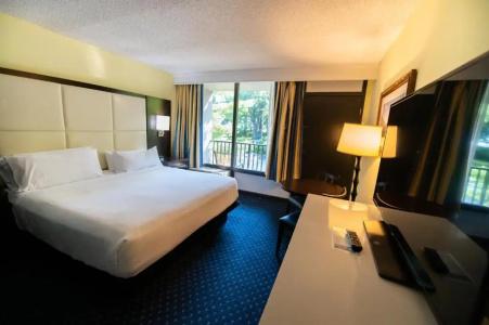 Holiday Inn Regency, An Ihg - 42