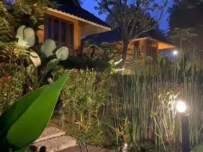 Pura Vida - 25