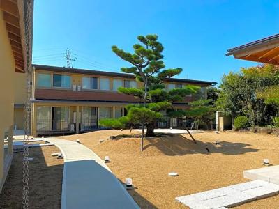 Kansai Airport Pine - 34