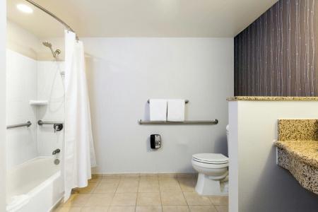 Courtyard by Marriott Houston Galleria - 7