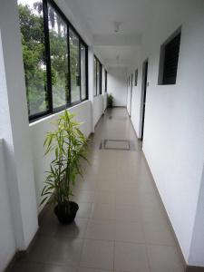 Country Comfort - 11