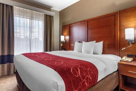 Comfort Suites West I-20 - 46