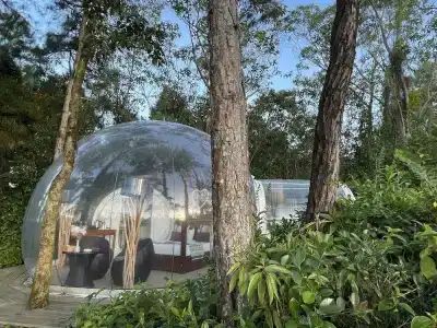 Bubble Bois Chéri - 20
