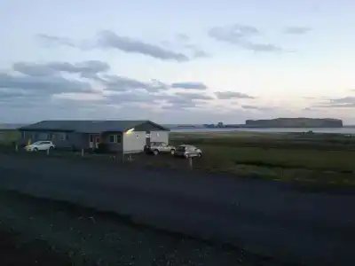 Reynir - 7