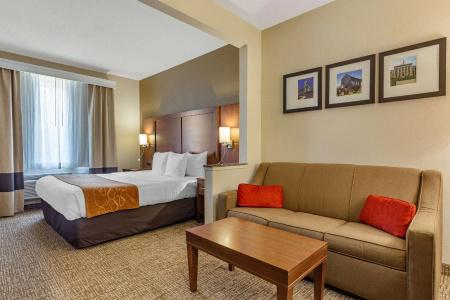Comfort Suites Walnut Creek - 64