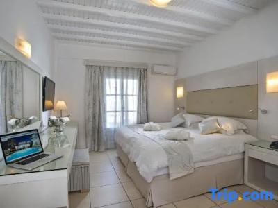 Dionysos Luxury Mykonos - 73