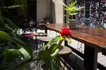 Fierro Buenos Aires - 11