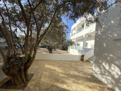 Oasis Beach - 84