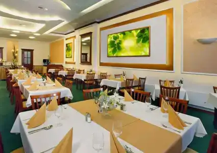 Spa & Wellness Olympia Marienbad - 24