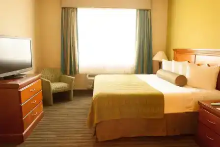 Best Western Plus Miami-Doral/Dolphin Mall - 20