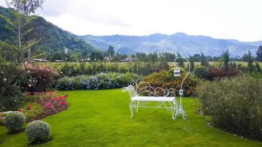 The Focus Khaoyai - 29