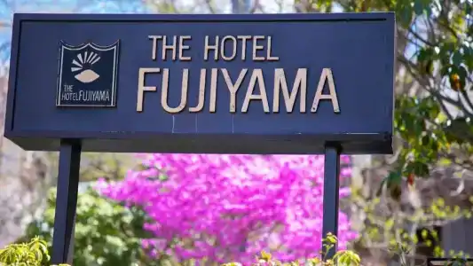 The Fujiyama - 4