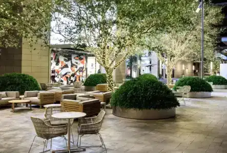 Staybridge Suites - Houston - Galleria Area, an IHG - 10