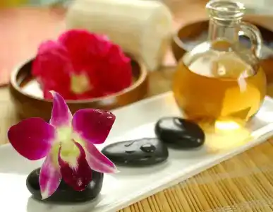 Shell Beach & Spa - 33