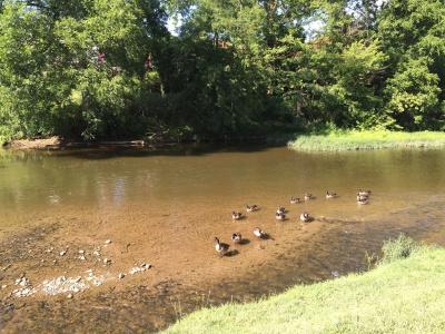 Pigeon River Inn - 21