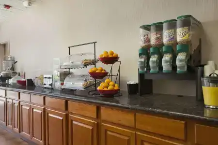 Ramada by Wyndham/Silicon Valley - 9
