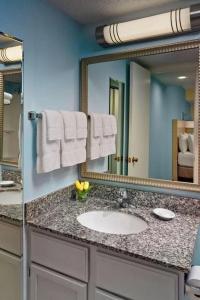 Sonesta ES Suites Houston Galleria - 33