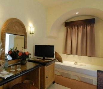 Green Palm - 1