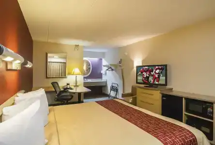 Red Roof Inn Indianapolis North - College Park - 4