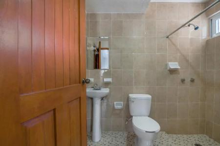Palma Real - 54