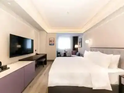 Mercure Xi'an Qujiang - 25