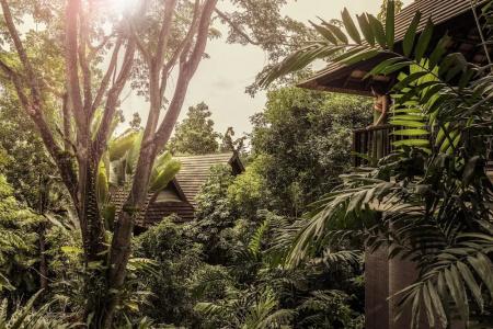 Four Seasons Resort Chiang Mai -Sha Plus - 69