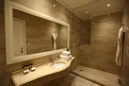 Palace & Spa - 9