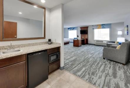 Hampton Inn & Suites Dallas-Arlington-South - 56