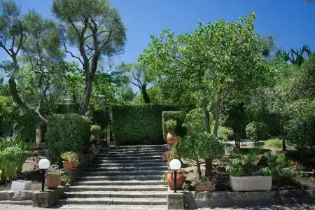 Mas Djoliba - 25