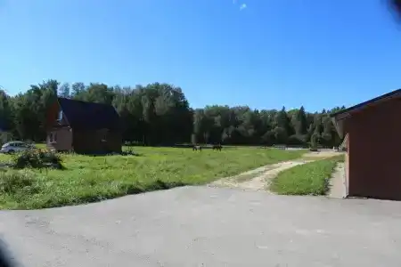 Кфх Ольгино - 7