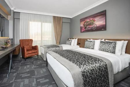 Luxon Sakarya - 39